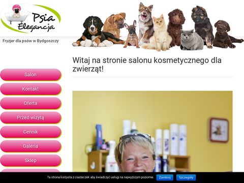 Psia Elegancja - spa dla psa Bydgoszcz