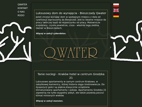 Qwater.eu - dom do wynajęcia bieszczady
