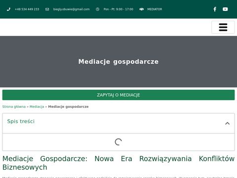 Rudzinscymediator.pl mediacje gospodarcze