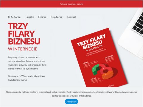 Trzyfilarybiznesu.pl wysoka pozycja strony