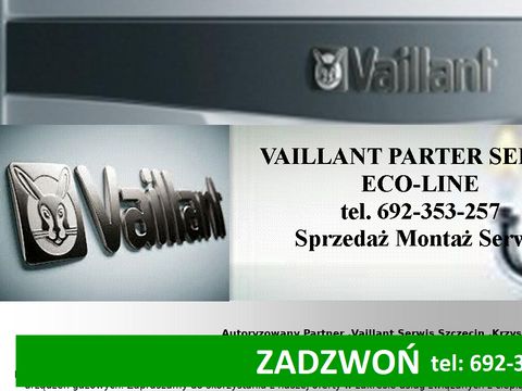 Vaillantserwis.com.pl - Naprawa pieców gazowych