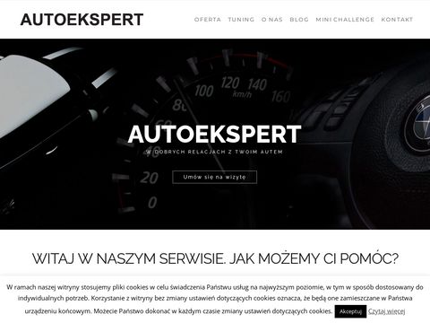 Autoekspert.pl serwis Saab i Opel Warszawa