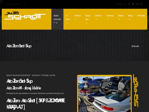 Auto-schrott.pl - skup samochodów i złomowanie