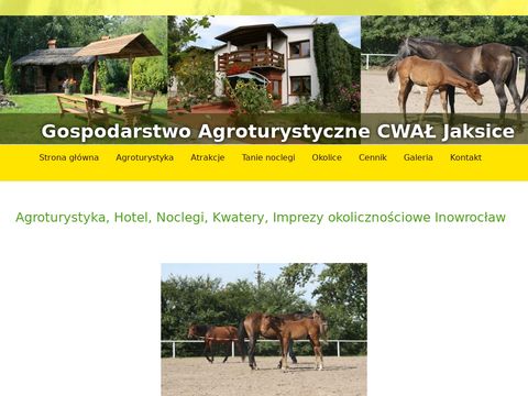 Agro-konie.pl - gospodarstwo agroturystyczne