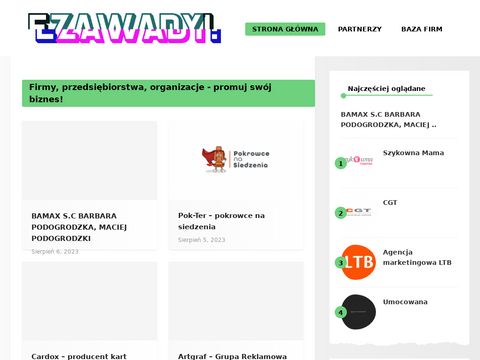 E-zawady.pl - najlepszy katalog