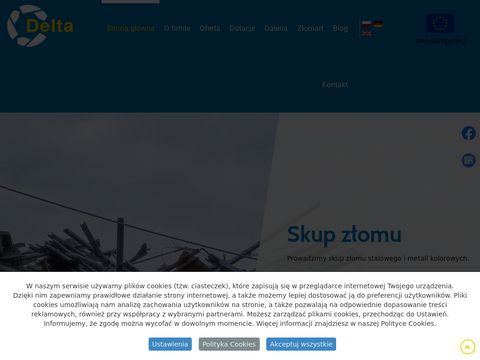 Delta-sj.com.pl