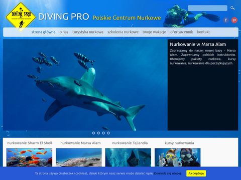 Diving Pro - nurkowanie Egipt