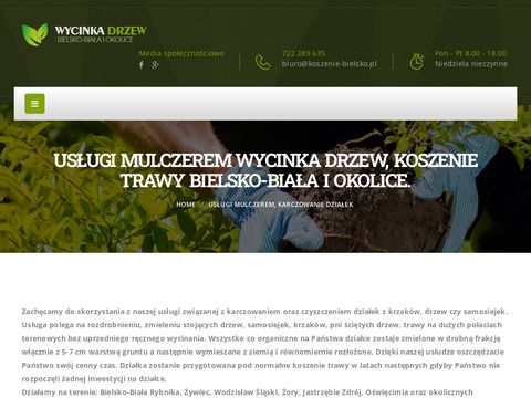 Koszenie-bielsko.pl wycinanie drzew rębak