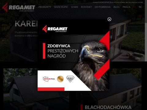 Regamet.com.pl nowoczesne pokrycia dachowe