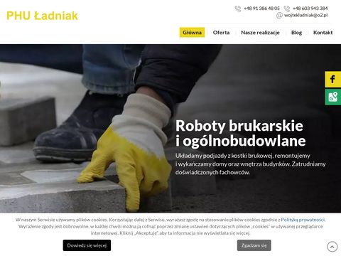 Robotyziemneladniak.pl Rewal