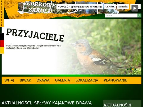 Jedrkowezakole.pl - firmowe spływy kajakowe Drawą