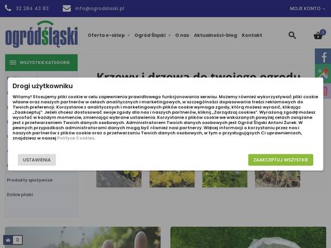 Ogrodslaski.pl sprzedaż roślin tropikalnych śląsk