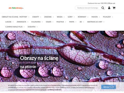 Ale-fotoobrazy.pl sklep z obrazami