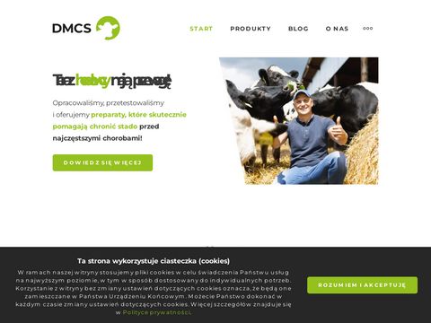 Dmcs.com.pl Mastan