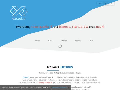 Excodus usługi programistyczne dla firm
