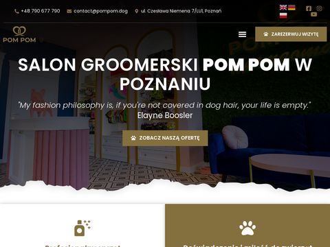 POM POM - groomer w Poznaniu