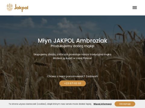 Jakpol-ambroziak.pl - kasza manna sprzedaż