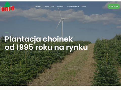 Orfo.pl choinki w doniczce