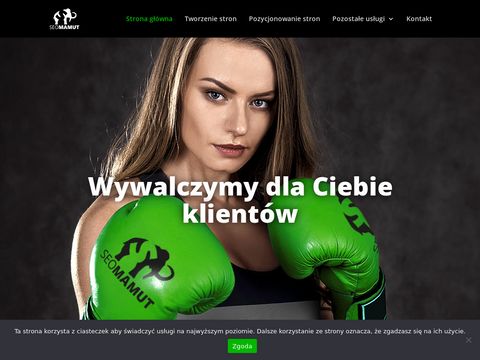 Seomamut.pl tworzenie stron internetowych
