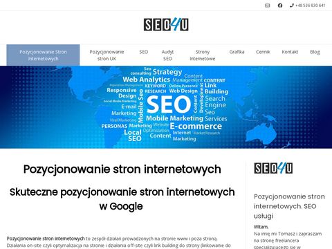 Pozycjonowanie4u.pl stron internetowych Bydgoszcz