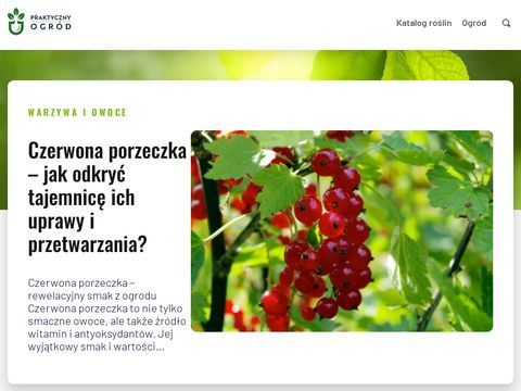 Praktycznyogrod.pl - portal ogrodniczy