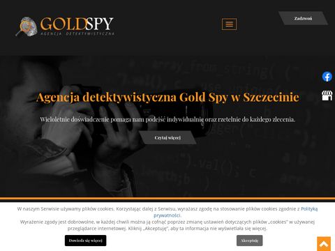 Goldspy.pl - sprawy rozwodowe Szczecin