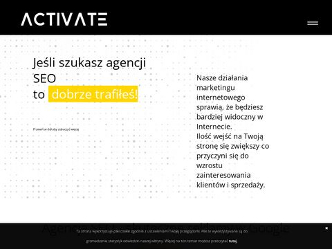 Activate.pl pozycjonowanie stron internetowych