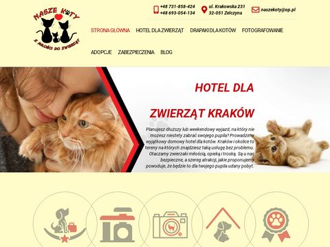 Nasze-koty.com.pl - hotel dla zwierząt Kraków